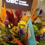 VGH-UBC