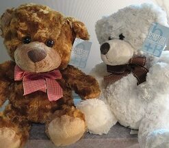 teddy