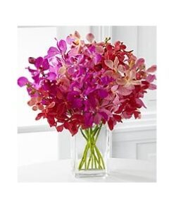 Orchids Arrangement