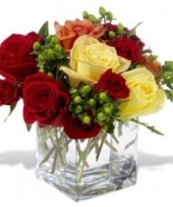 Assorted Color Roses