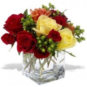Assorted Color Roses