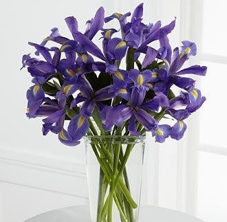 Blue Iris, Purple Iris Flowers Bouquet, Certified B Corp