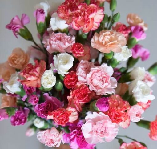 Mini carnations multi colored arrangement