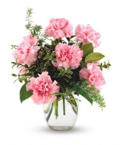 Pink Lovely Carnations