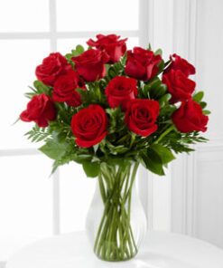 Premium Red Roses