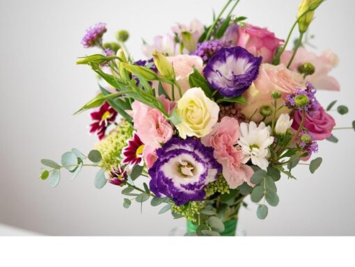 Deal of the day Flowers