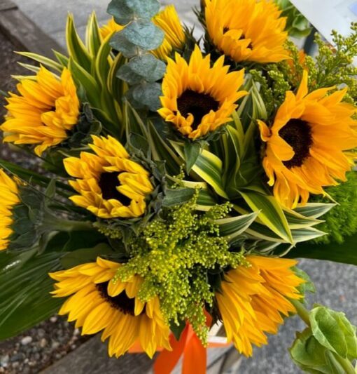 Sunflowers etc. Premium