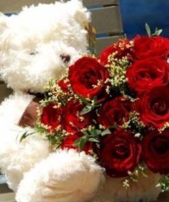 Red roses and Teddy Bear