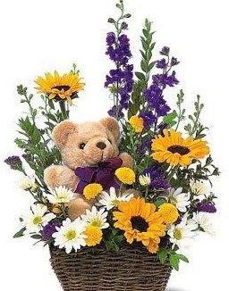 Basket teddy bear shop